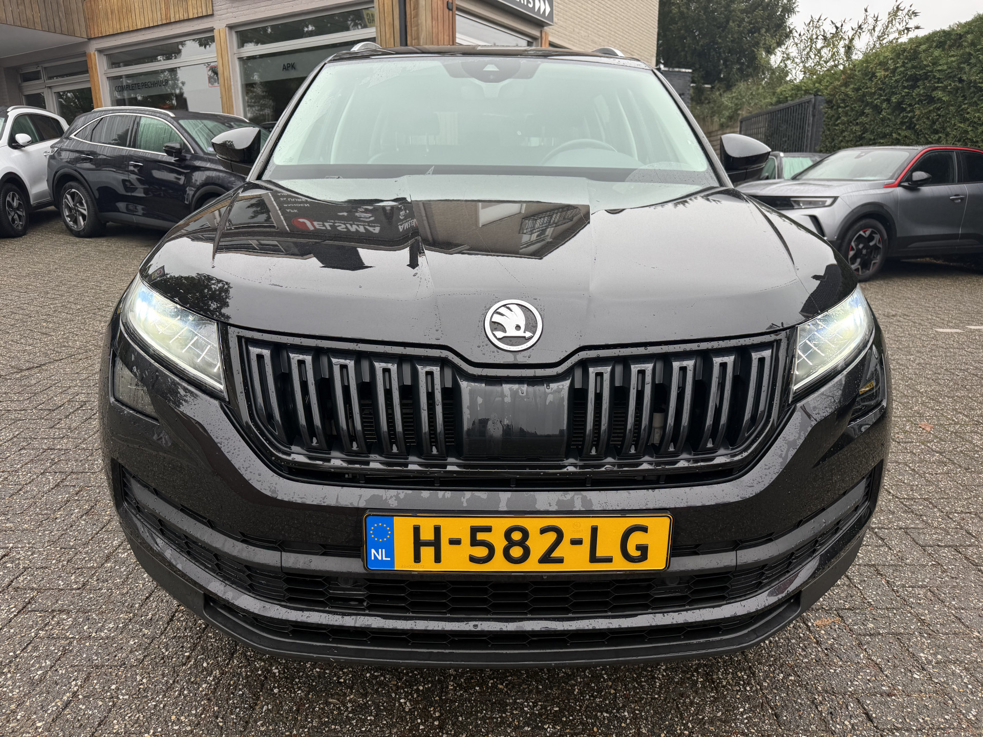 Foto van Skoda Kodiaq