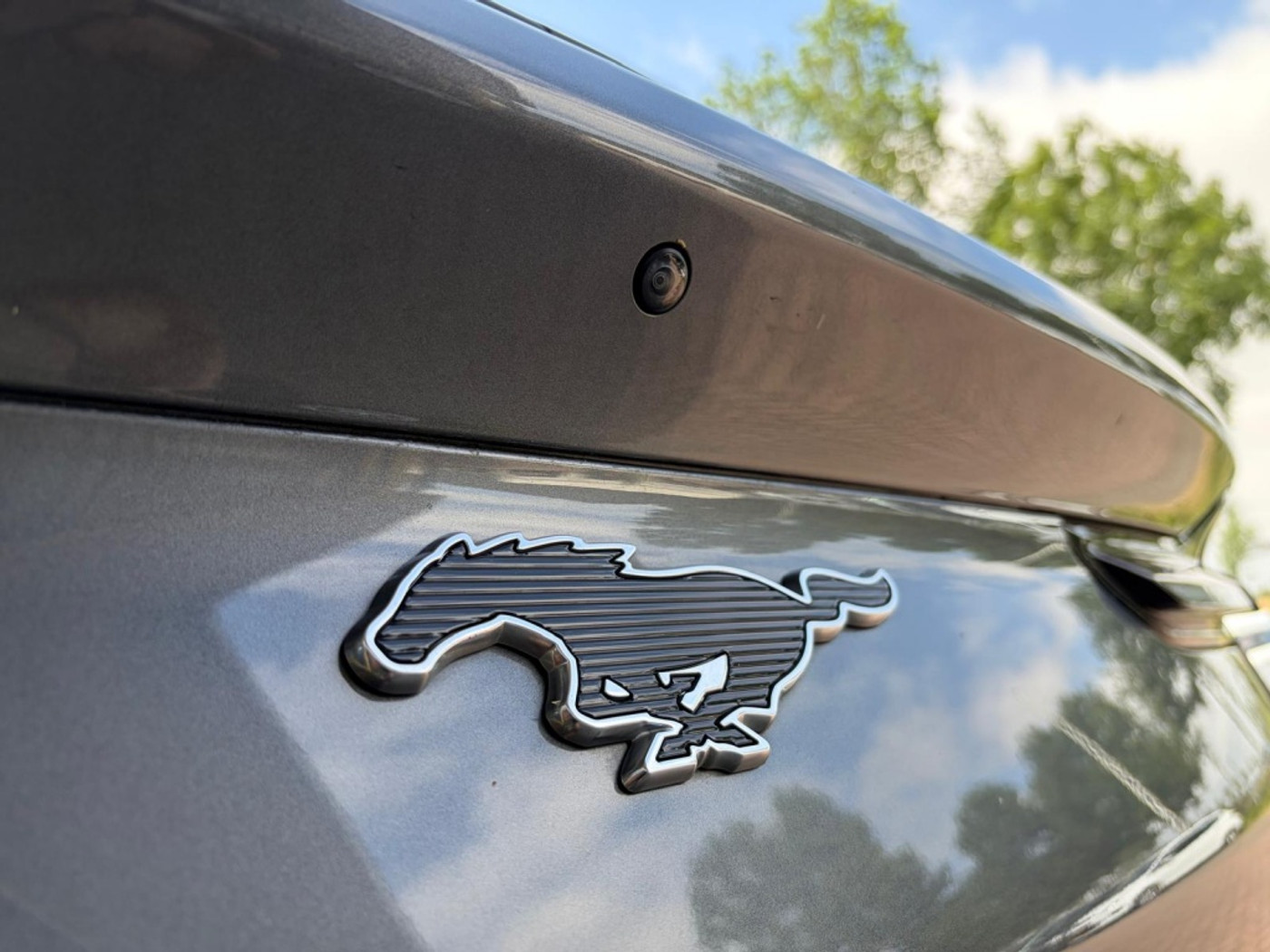 Foto van Ford Mustang Mach-e