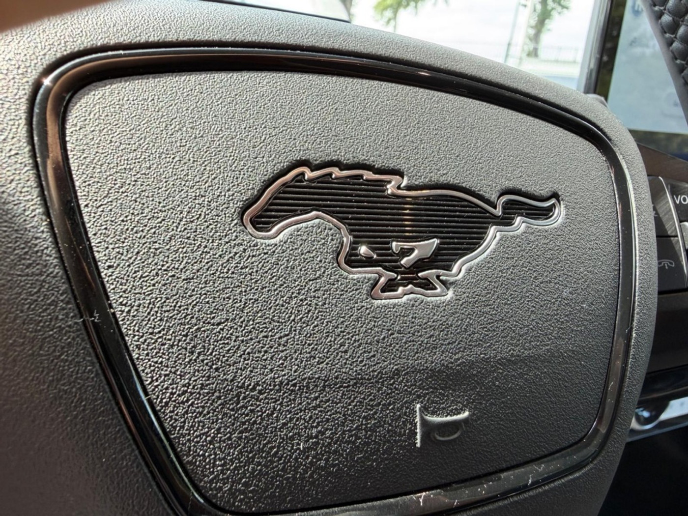 Foto van Ford Mustang Mach-e