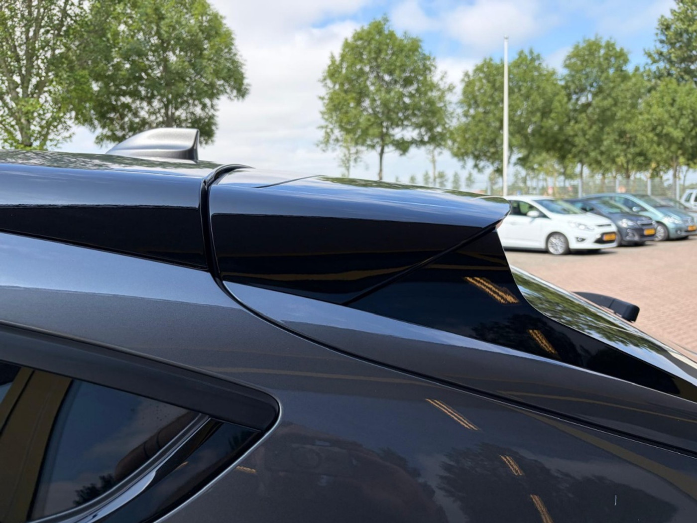 Foto van Ford Mustang Mach-e