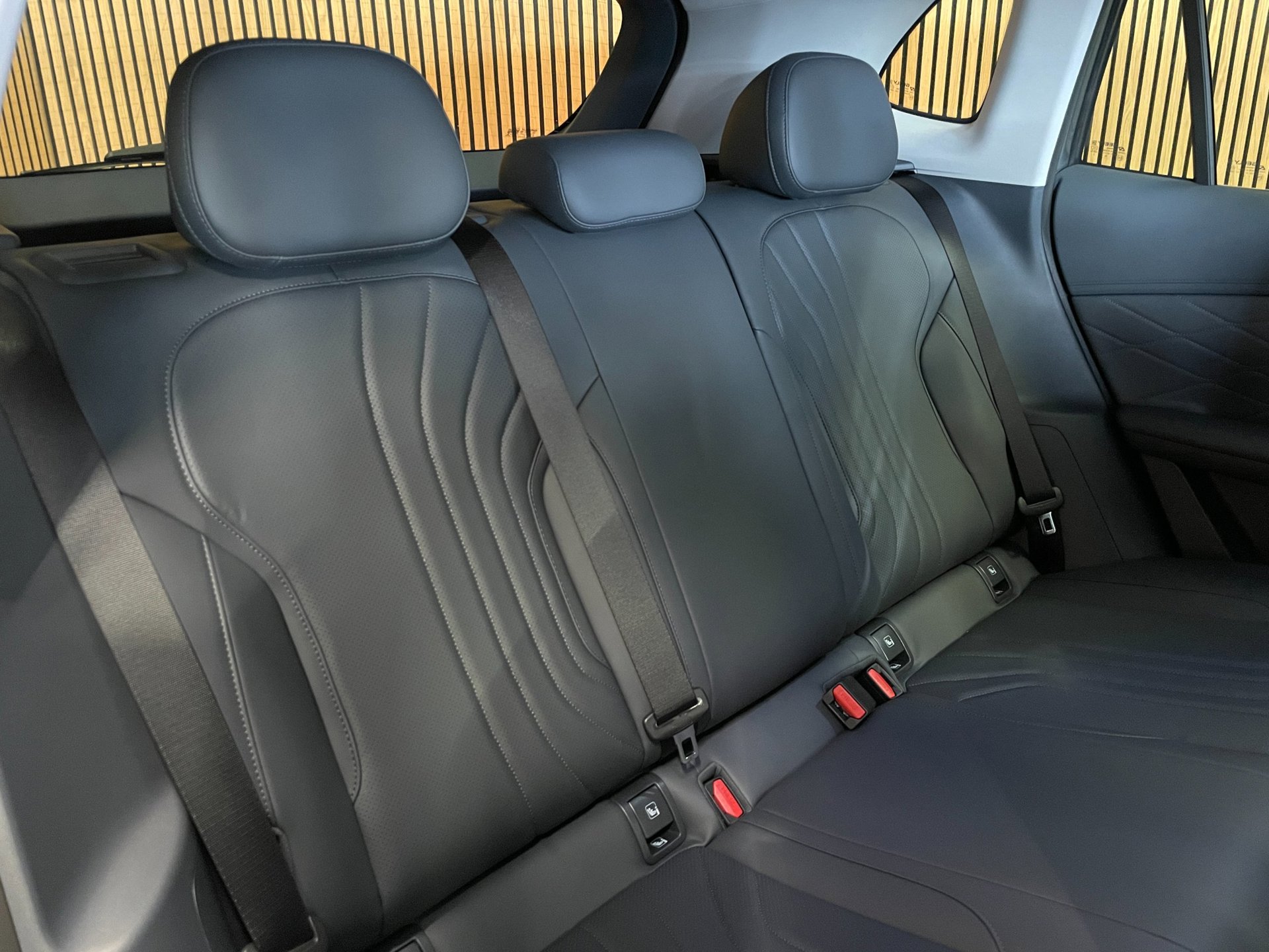 Foto van Geely Starray Em-i