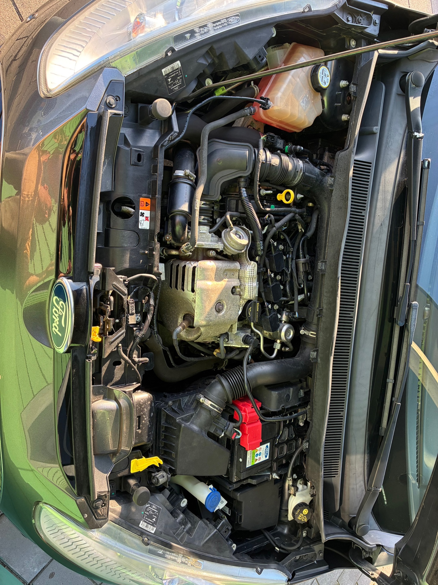 Foto van Ford B-max