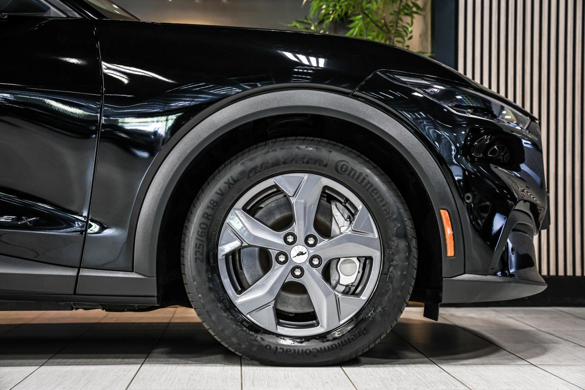 Foto van Ford Mustang Mach-e
