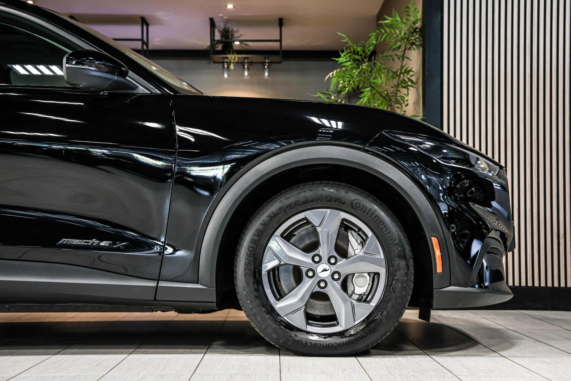 Foto van Ford Mustang Mach-e