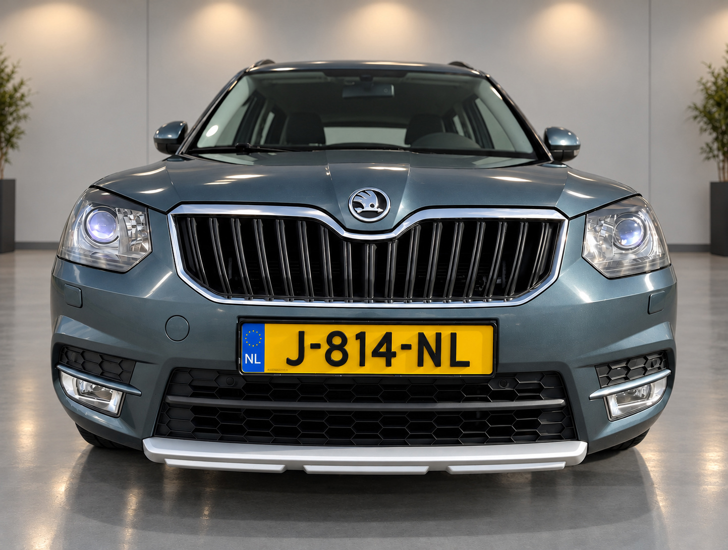 Foto van Skoda Yeti