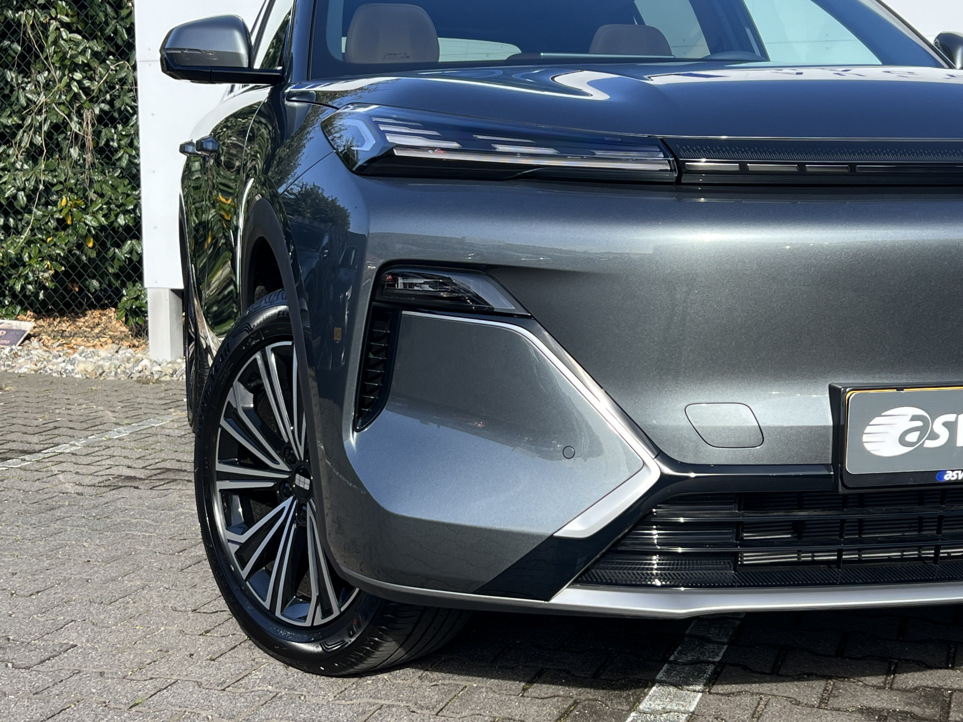 Foto van Geely Starray Em-i