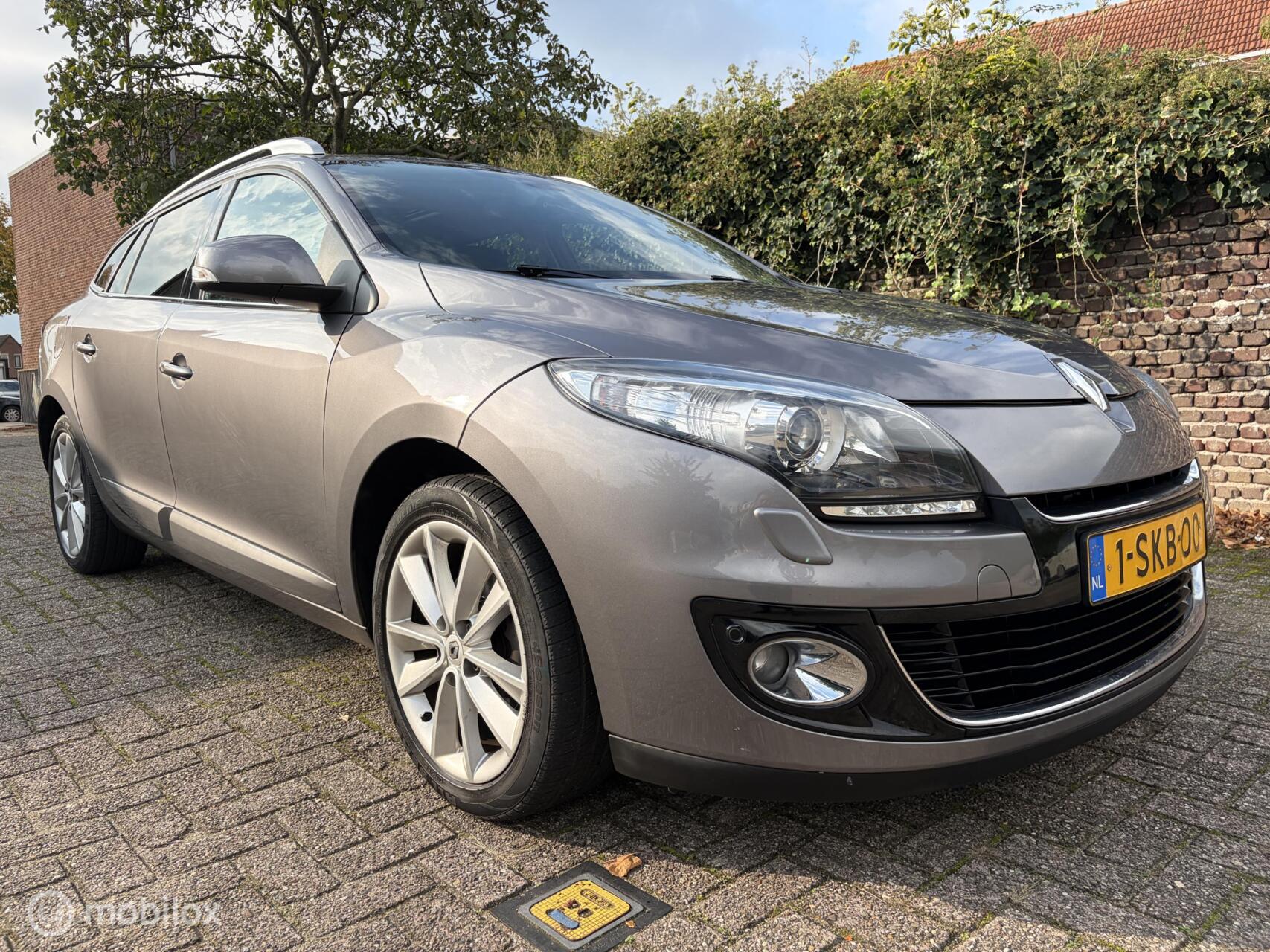 Foto van Renault Megane