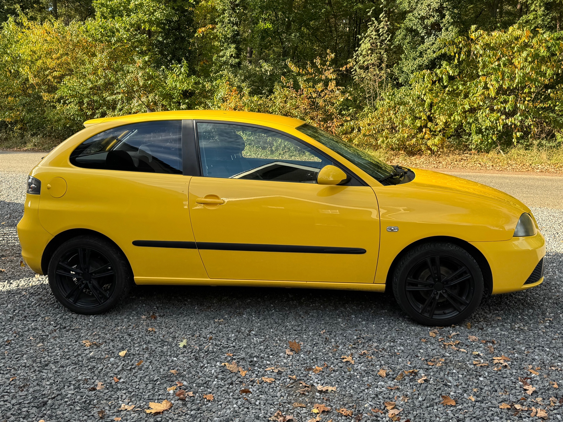 Foto van Seat Ibiza