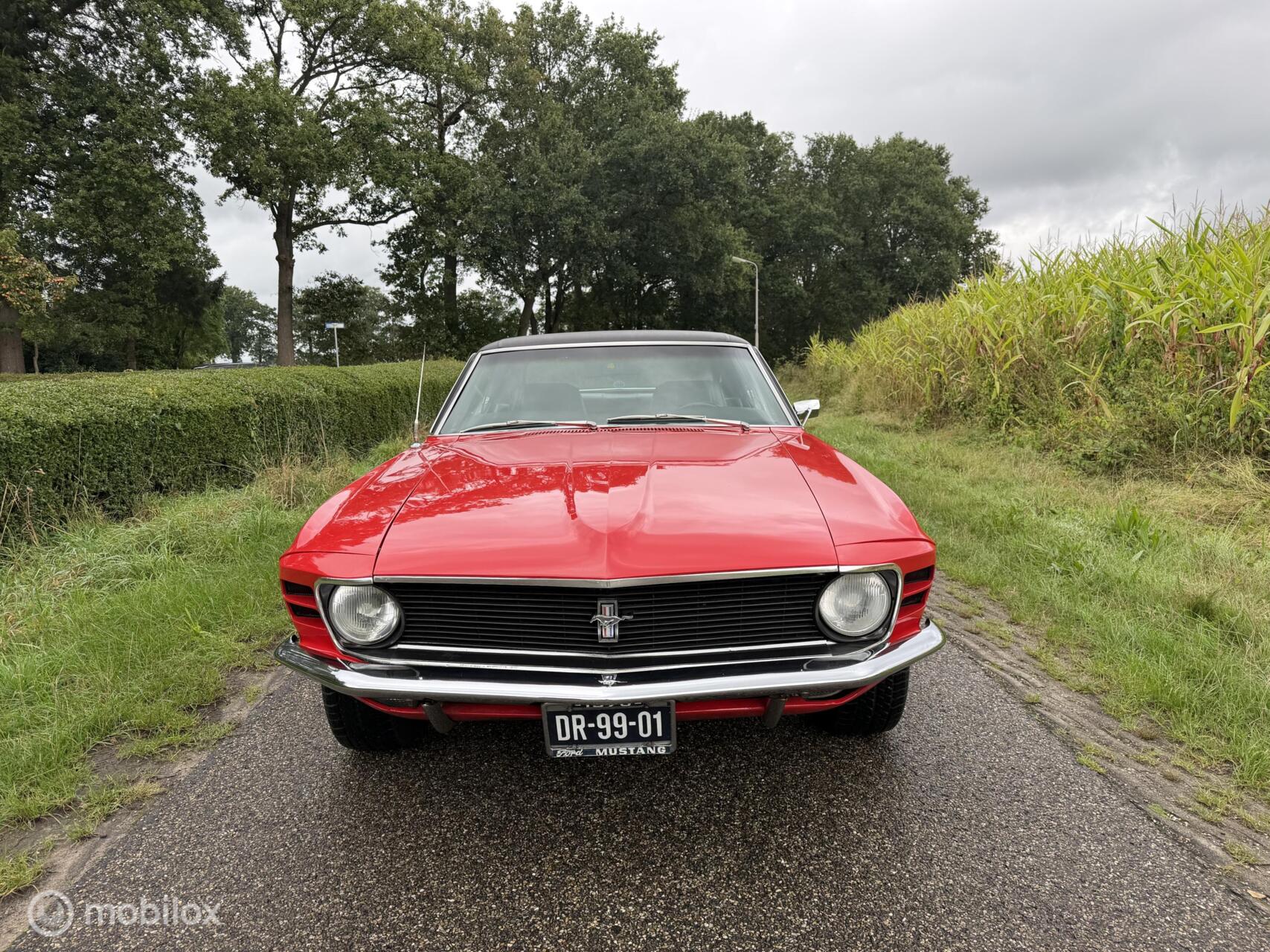 Foto van Ford Mustang Grande