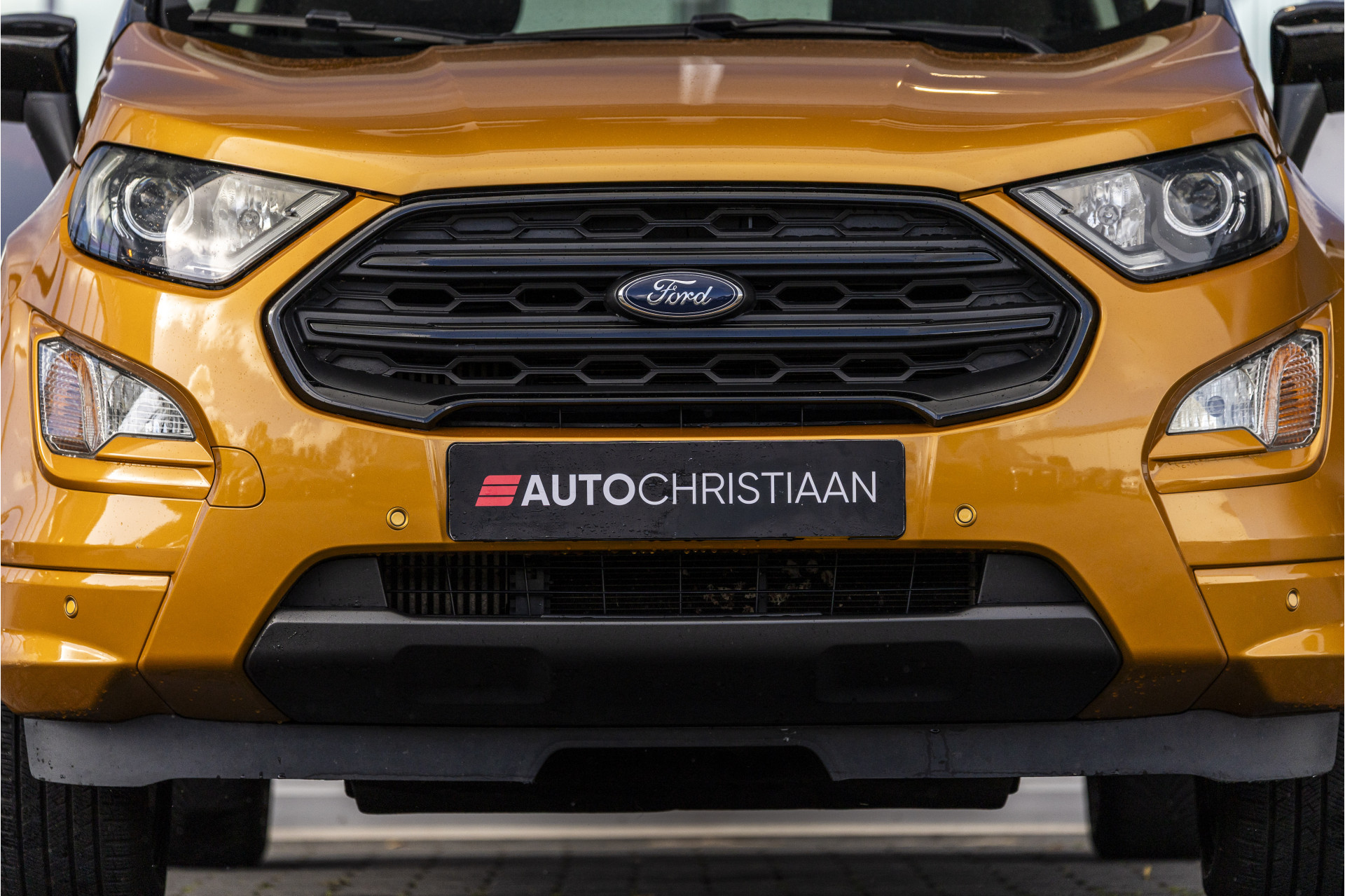 Foto van Ford Ecosport