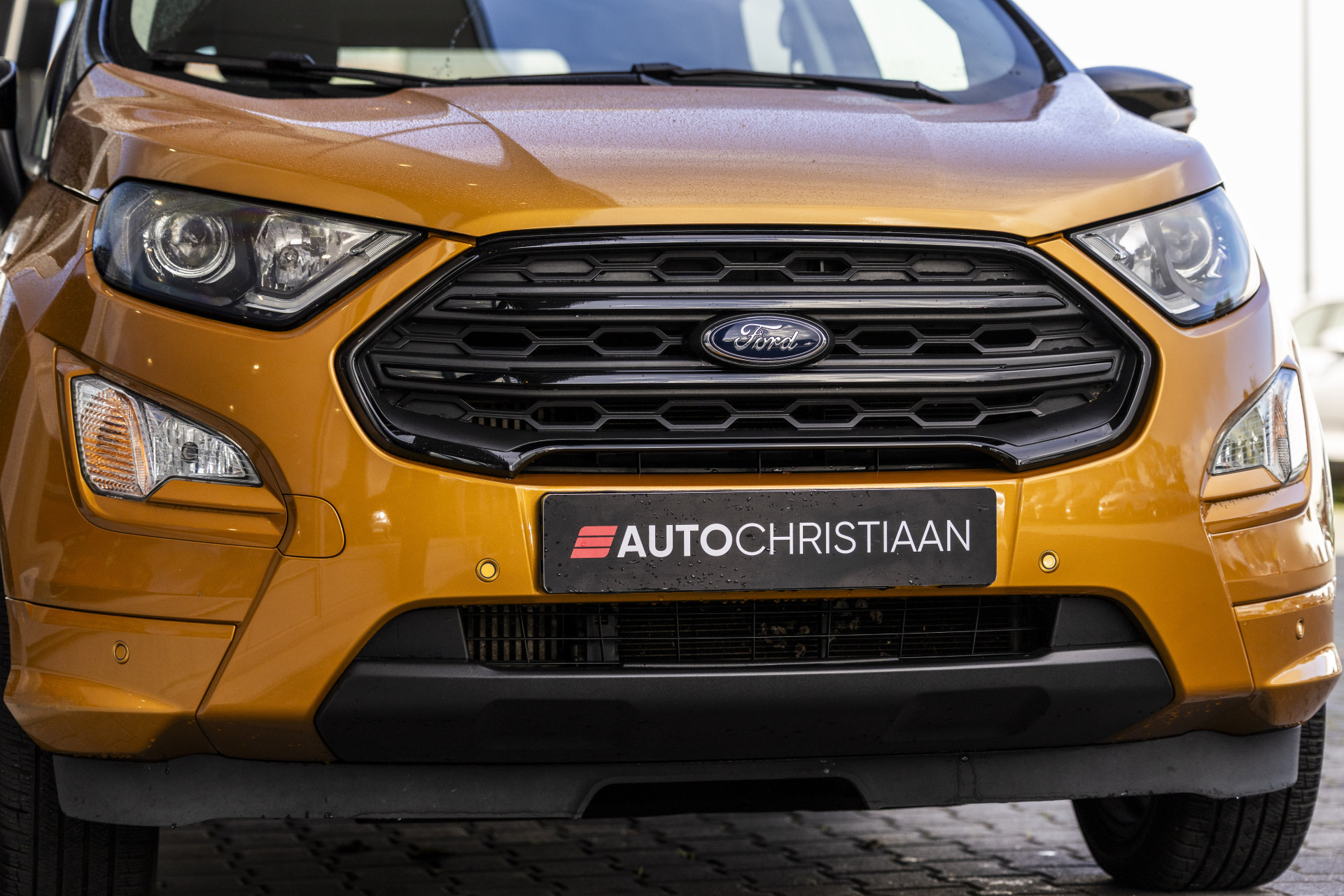 Foto van Ford Ecosport
