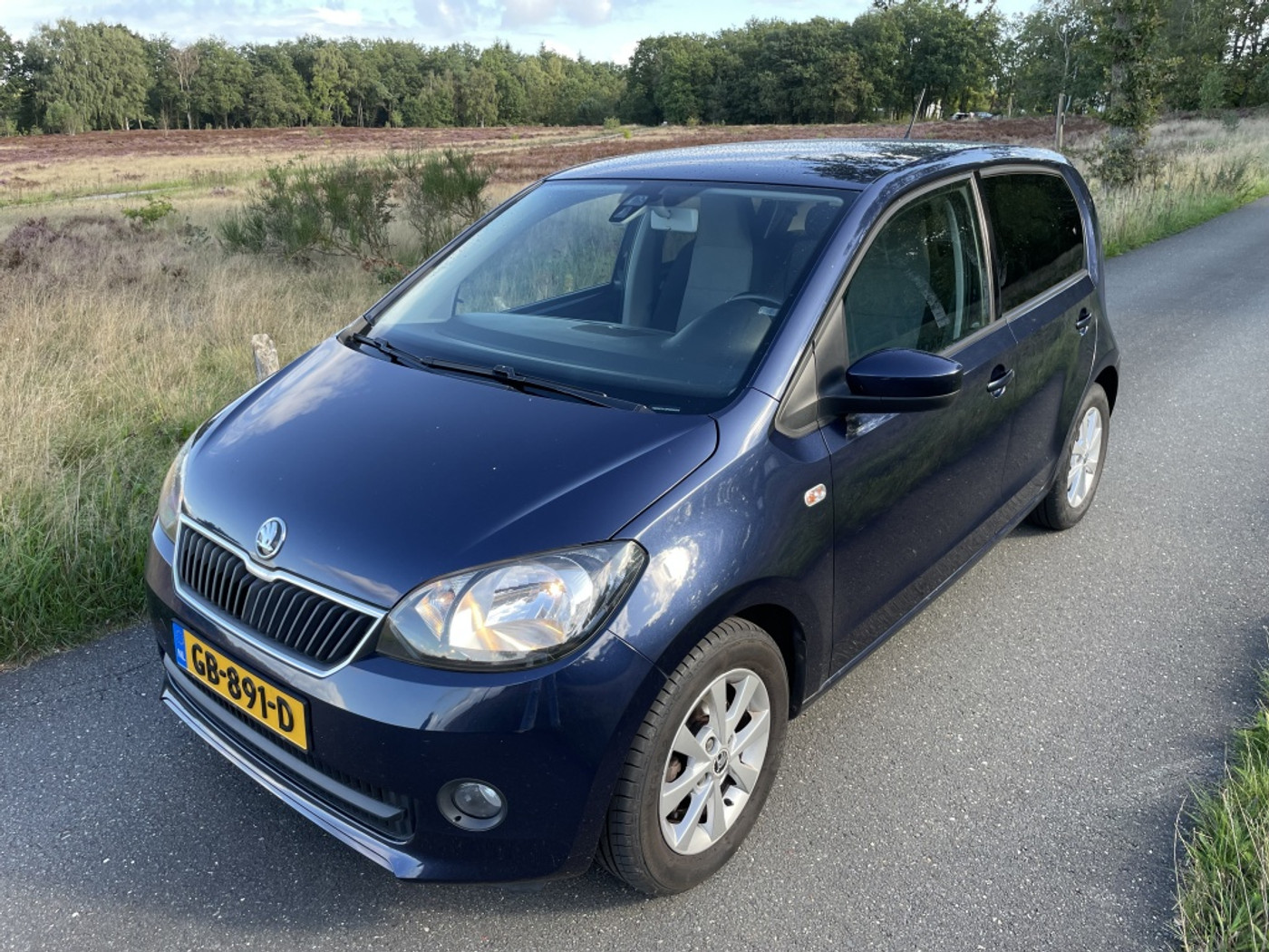 Foto van Skoda Citigo