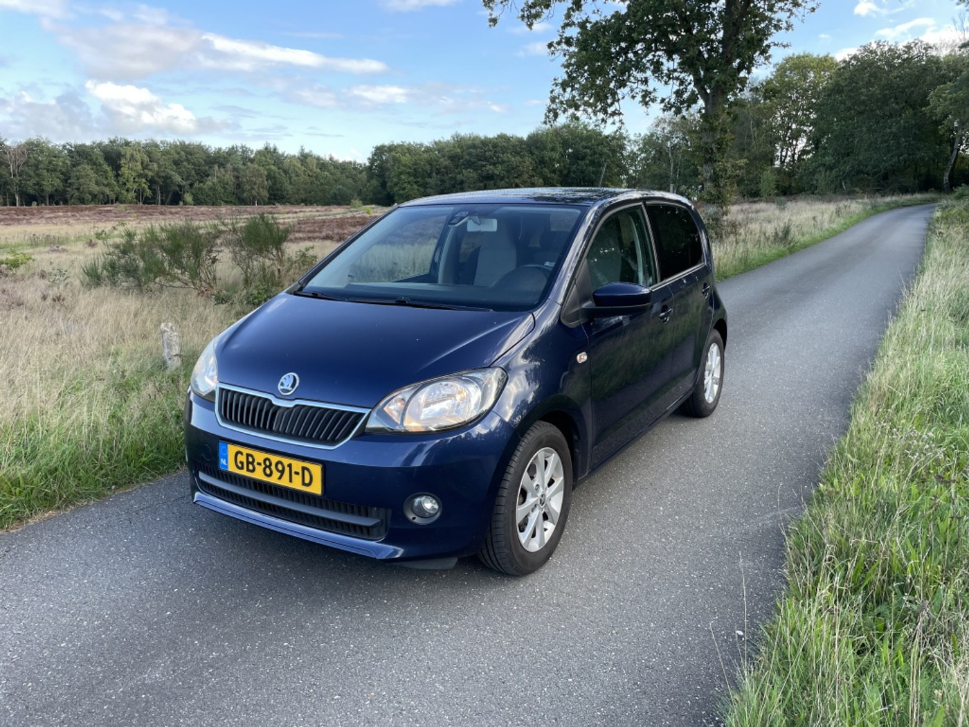 Skoda Citigo 1.0 Grt. Edition 2015 - voorkant