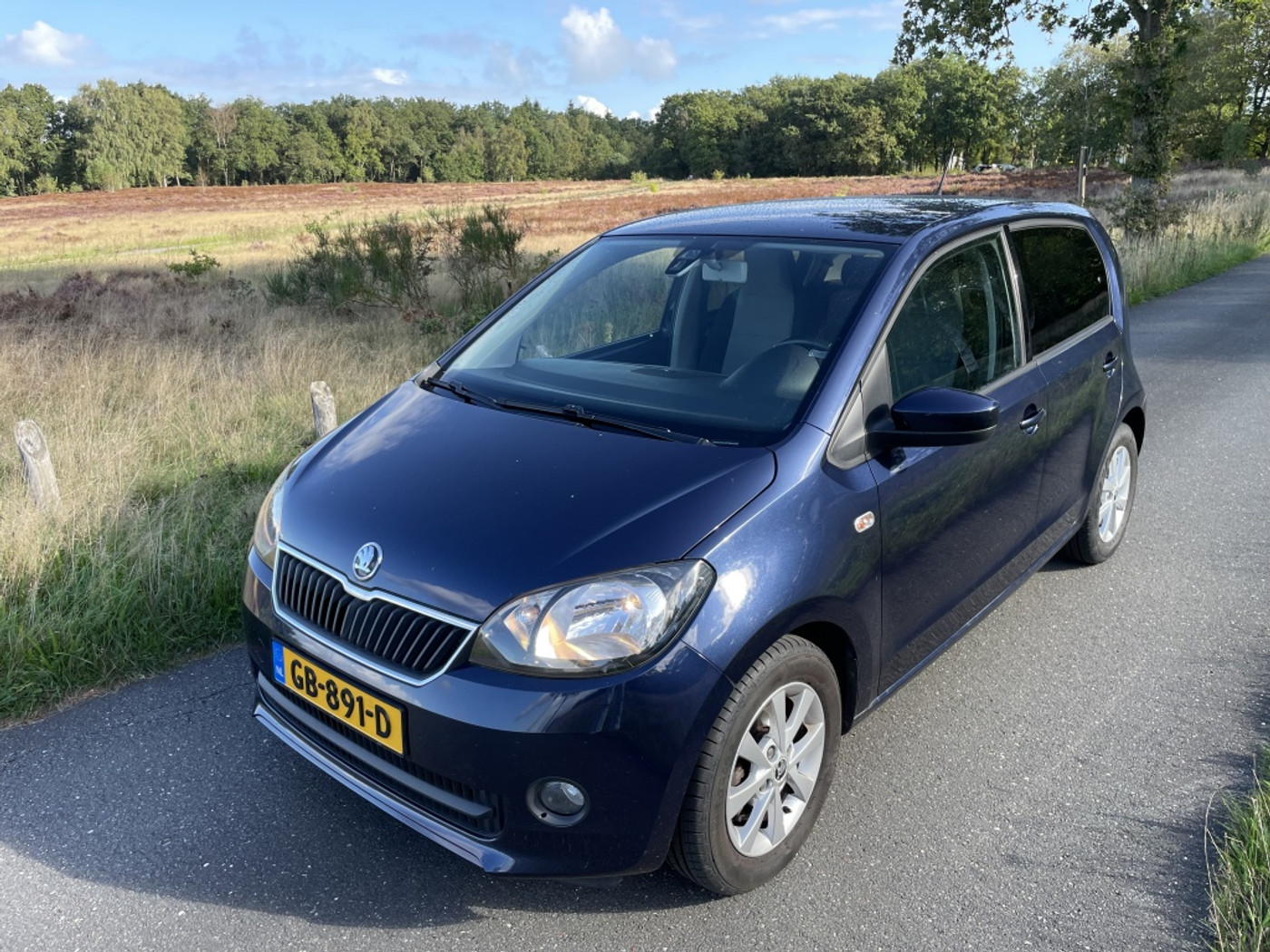 Foto van Skoda Citigo