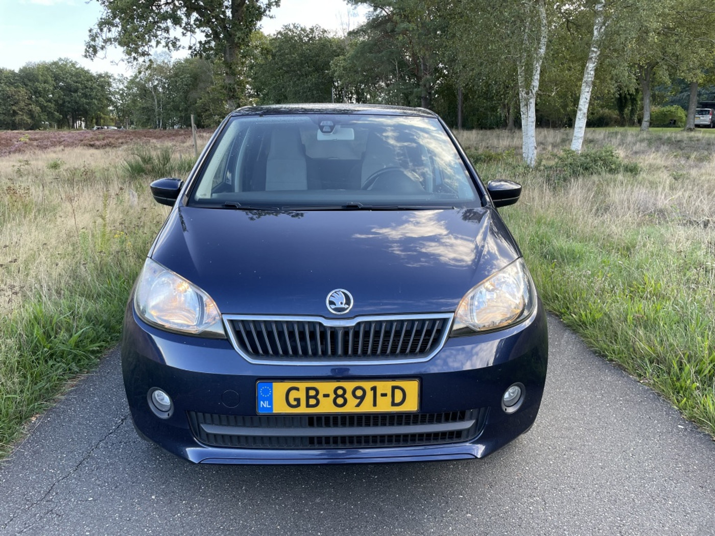 Foto van Skoda Citigo