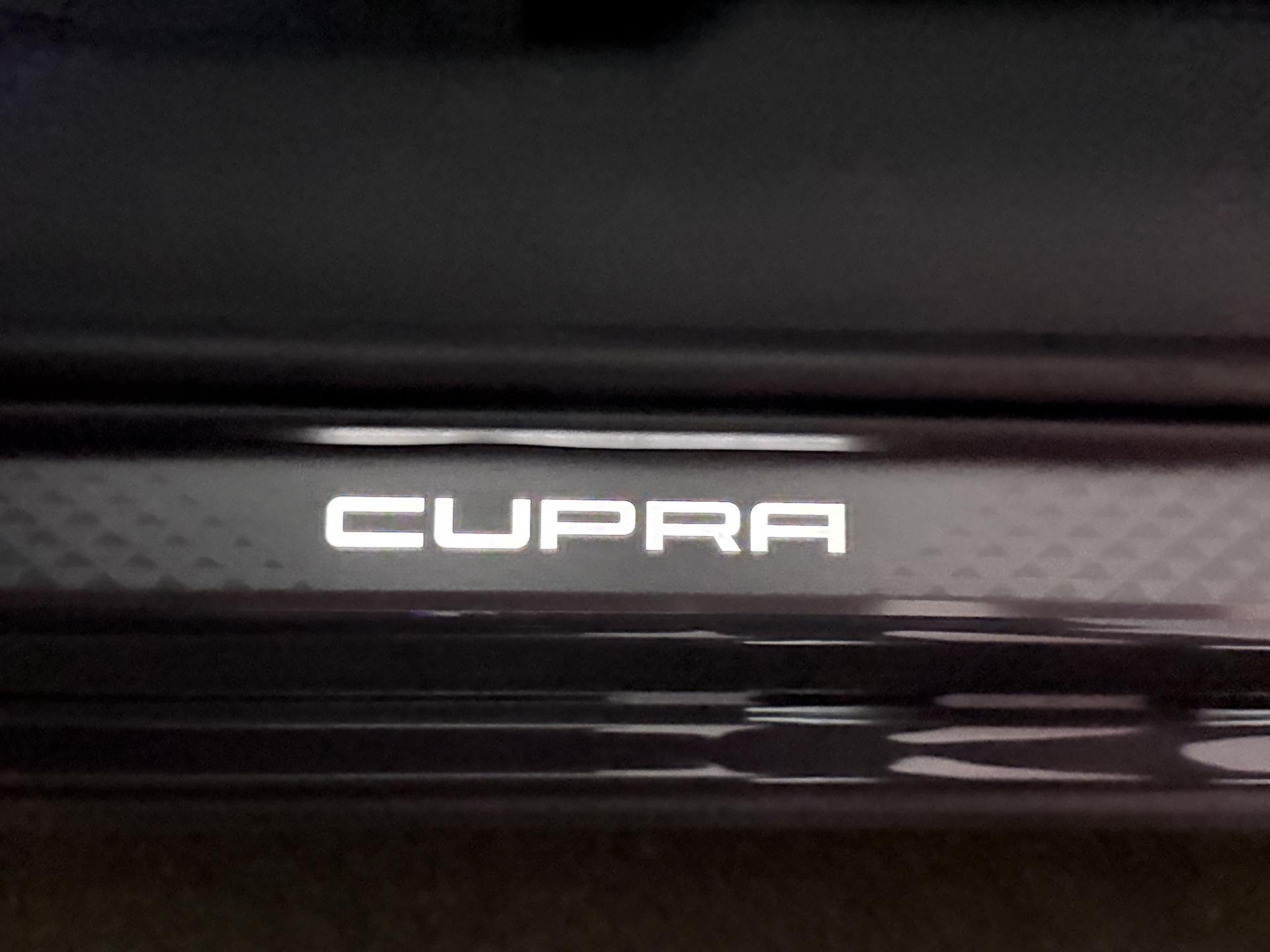 Foto van Cupra Terramar