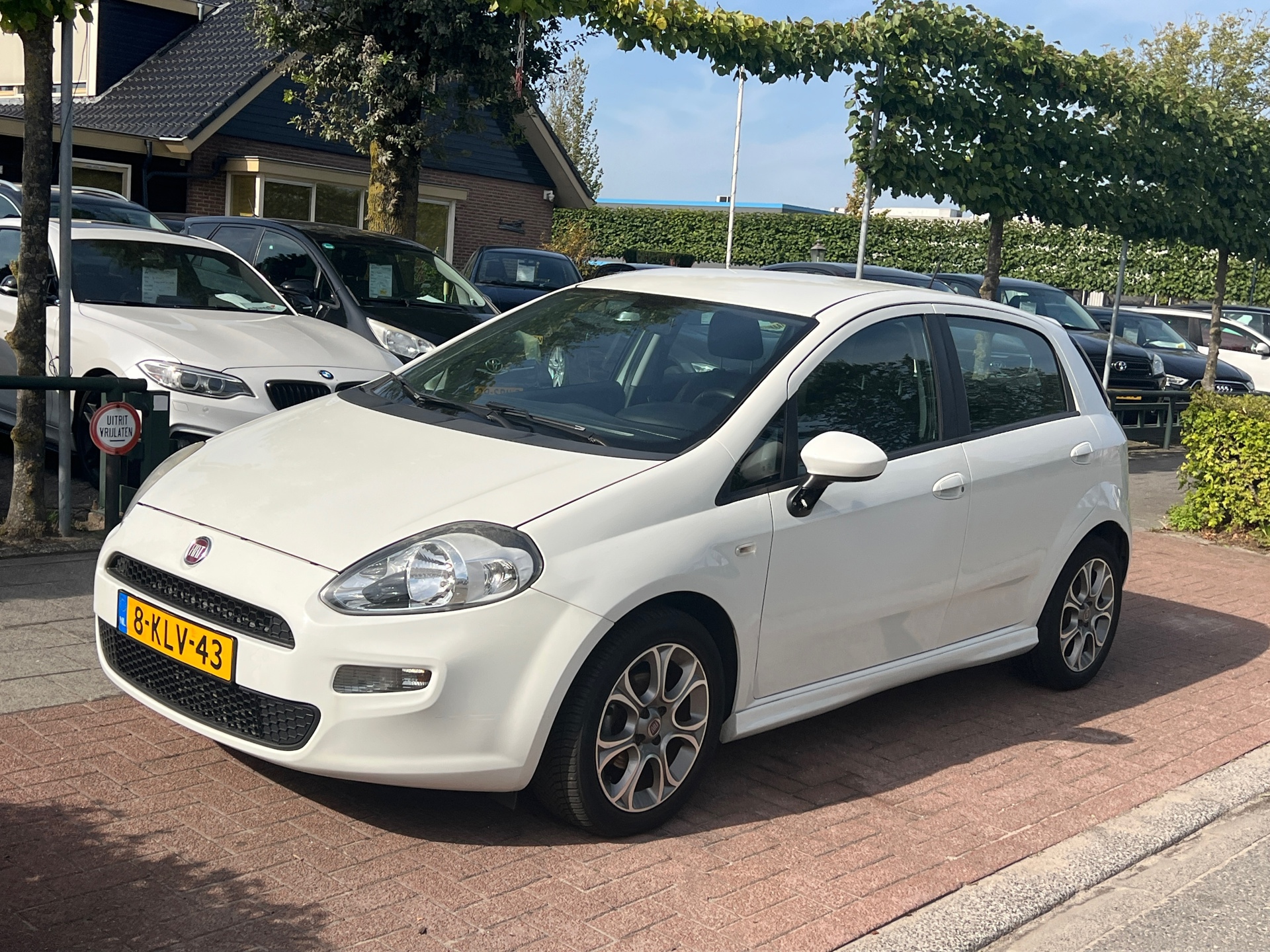 Foto van Fiat Fiat Punto