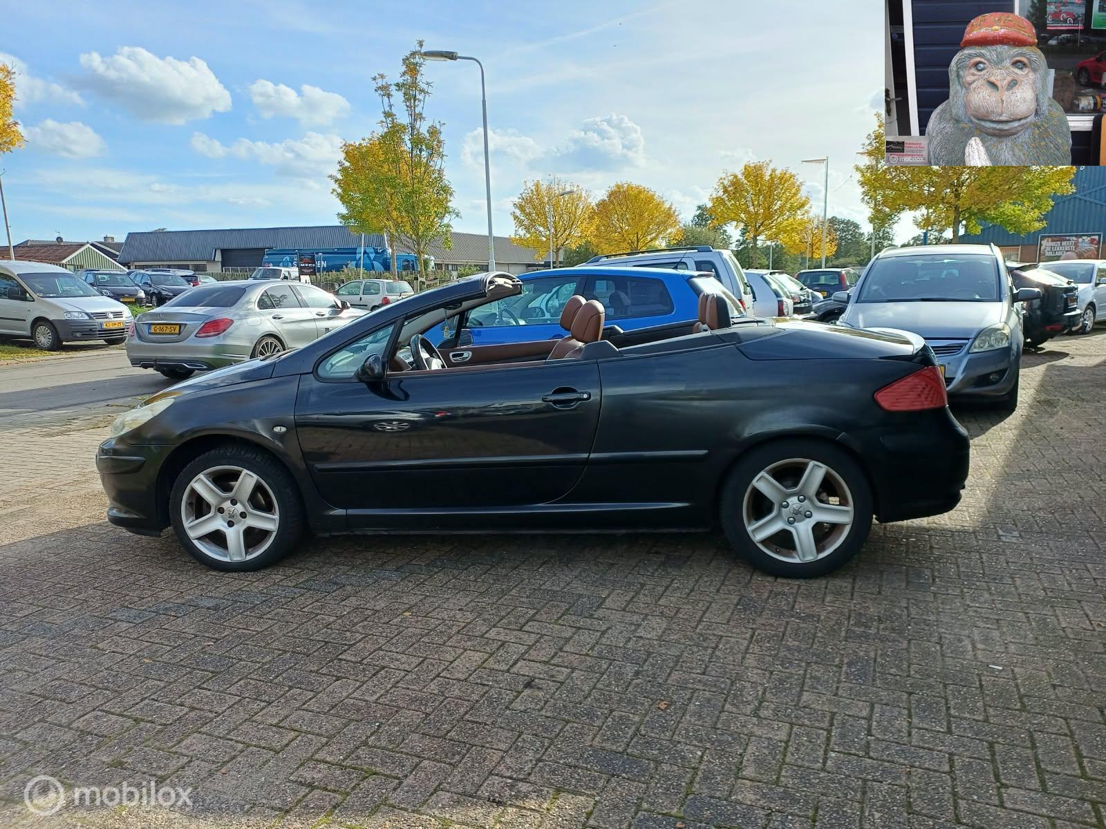 Foto van Fiat Fiat Punto
